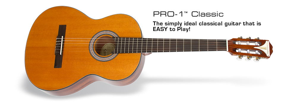 PRO-1 Classic acoustic guitar