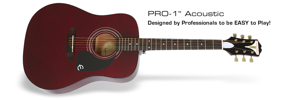 Pro-1 Acoustic Guitar